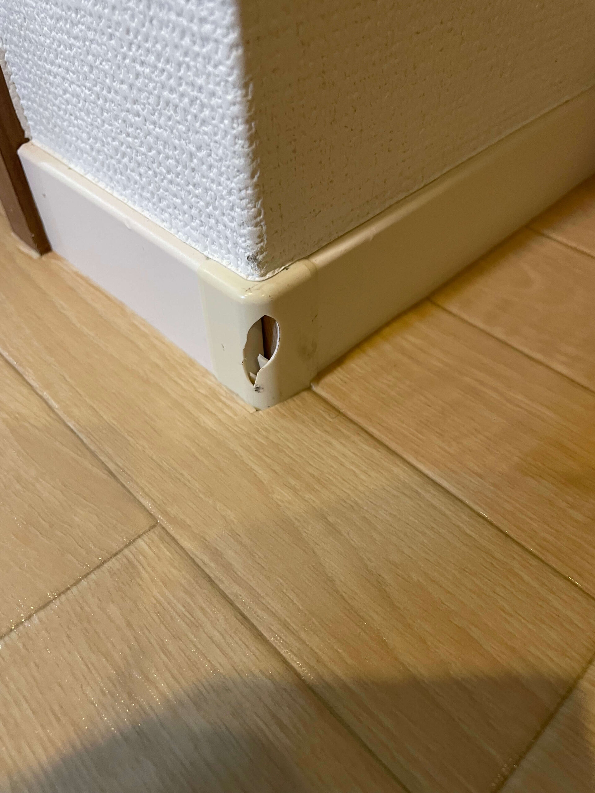 破損した巾木