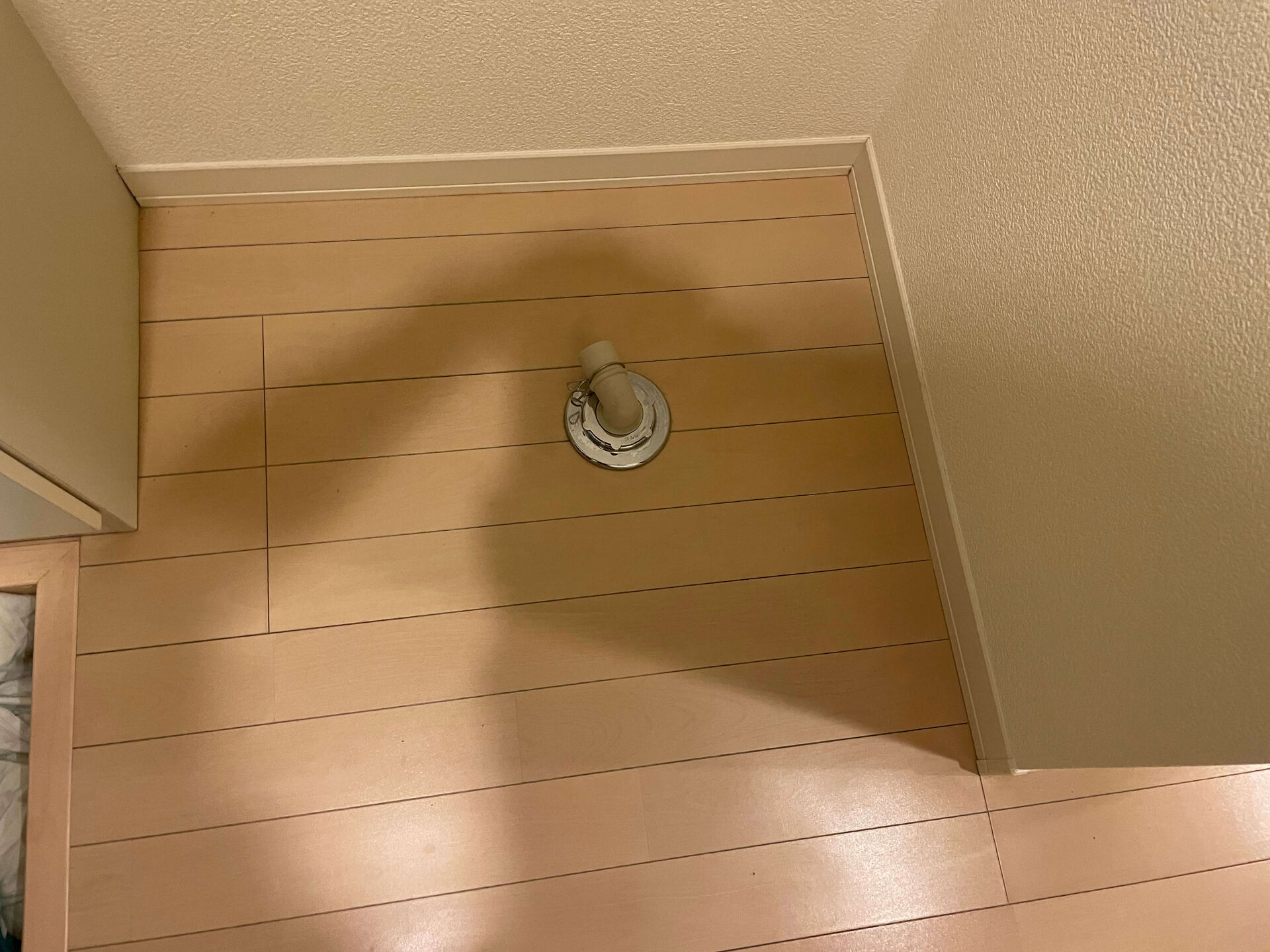 きれいになった床