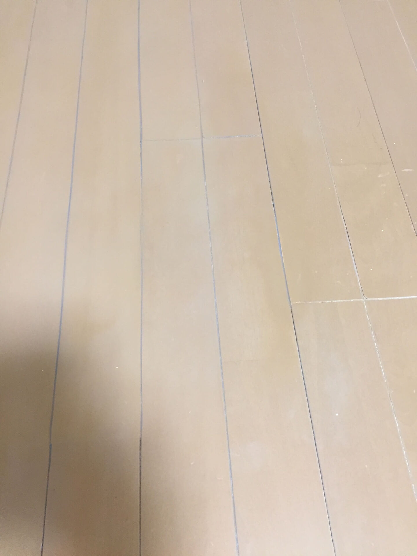 きれいになったフローリング