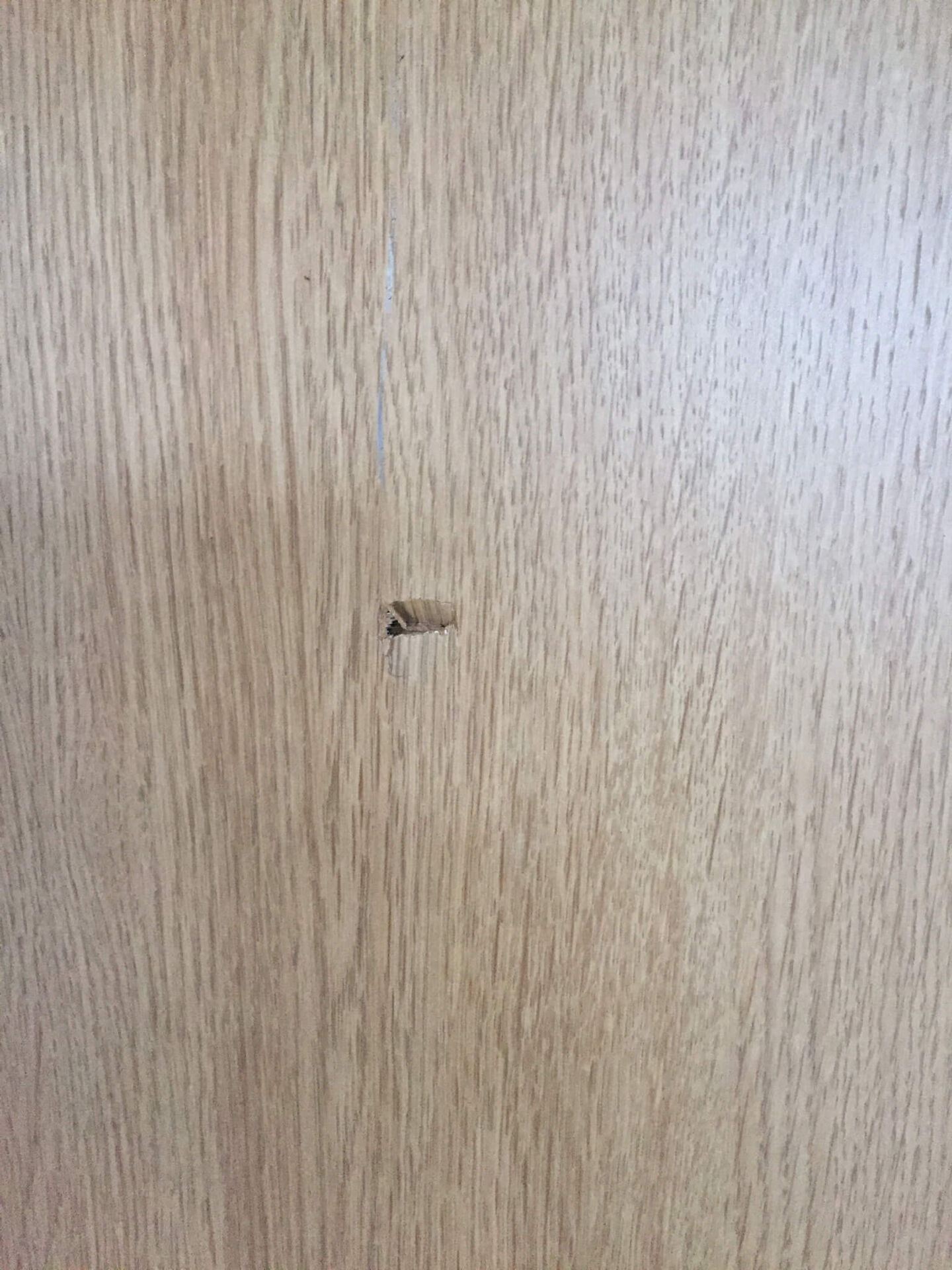 傷のついた木部
