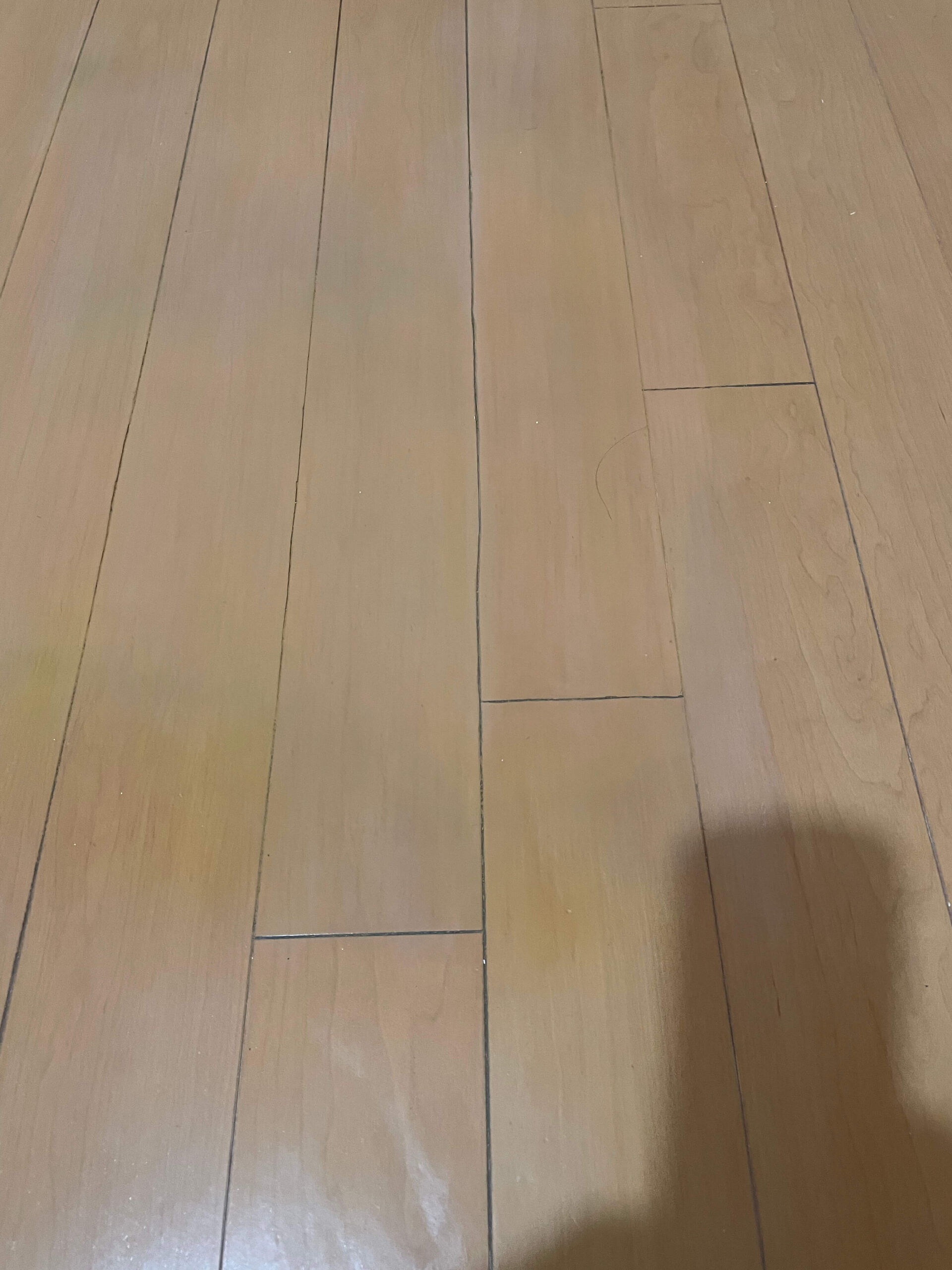 きれいになったフローリング