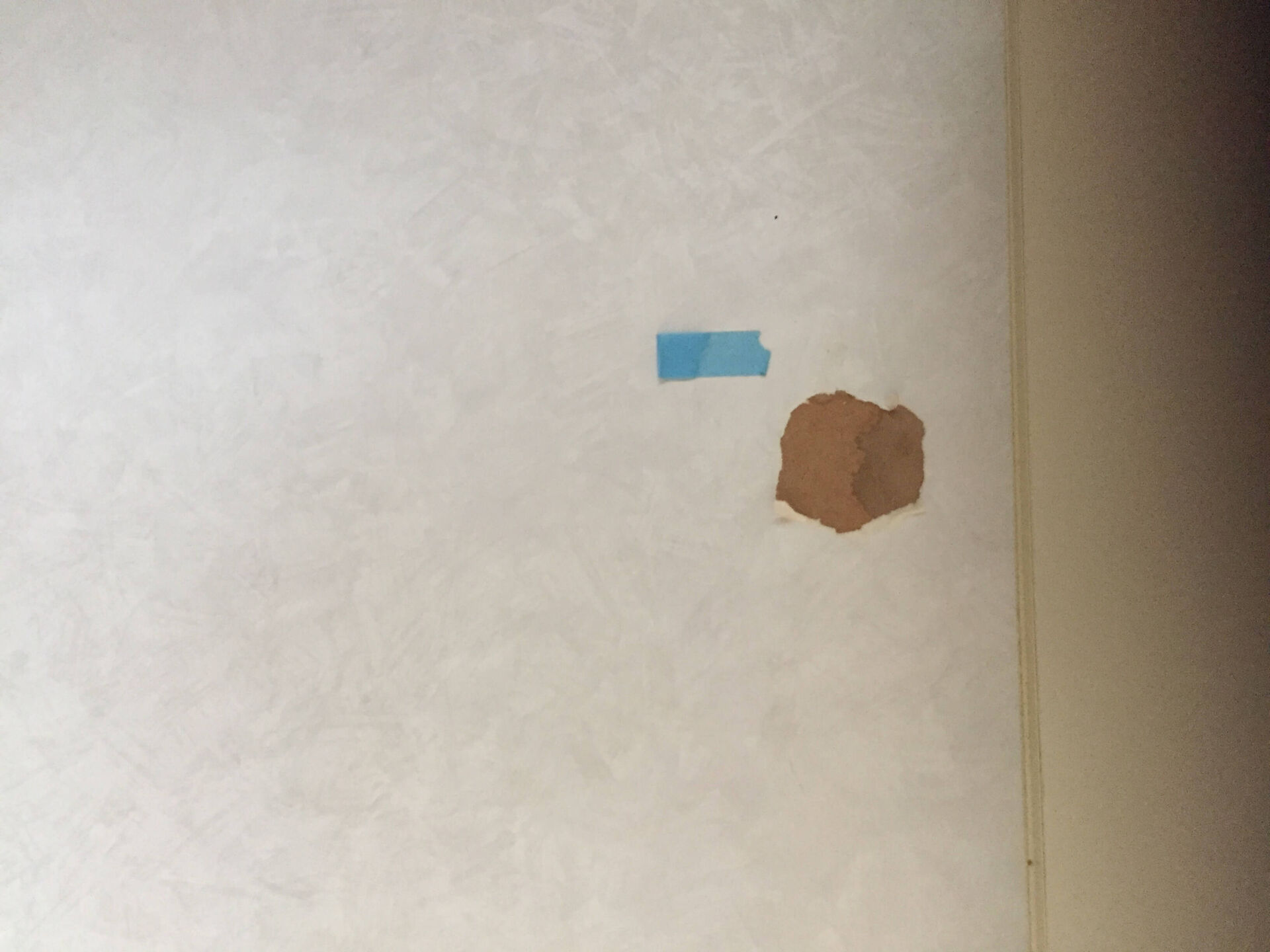 破れた壁紙