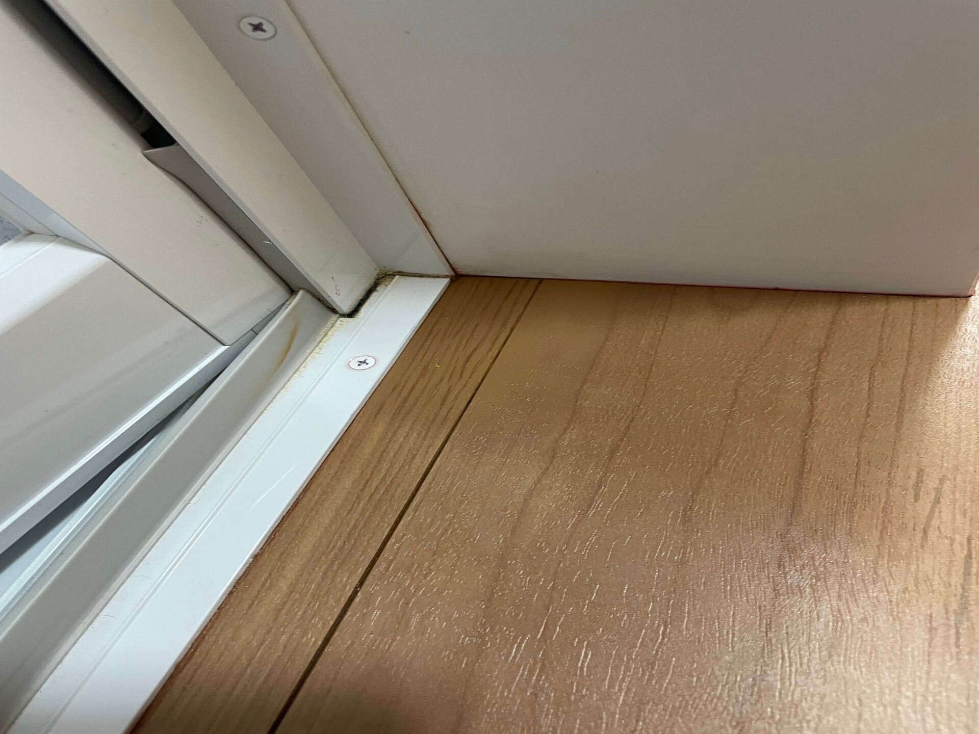 きれいになったフローリング