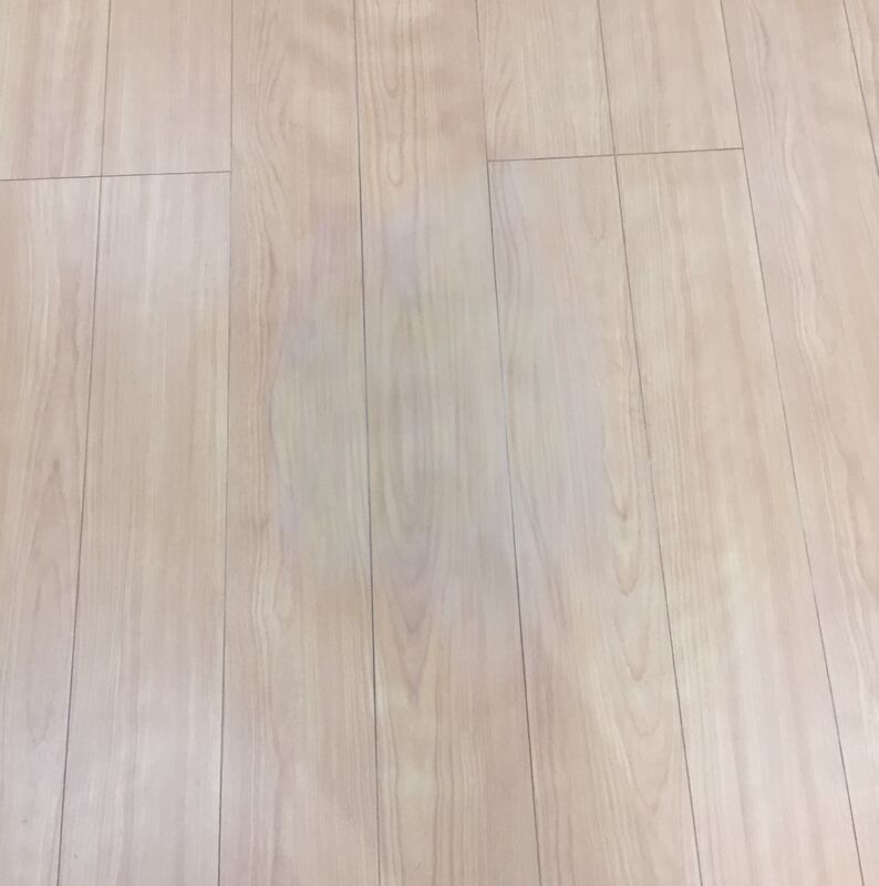 2021年3月21日板橋区after