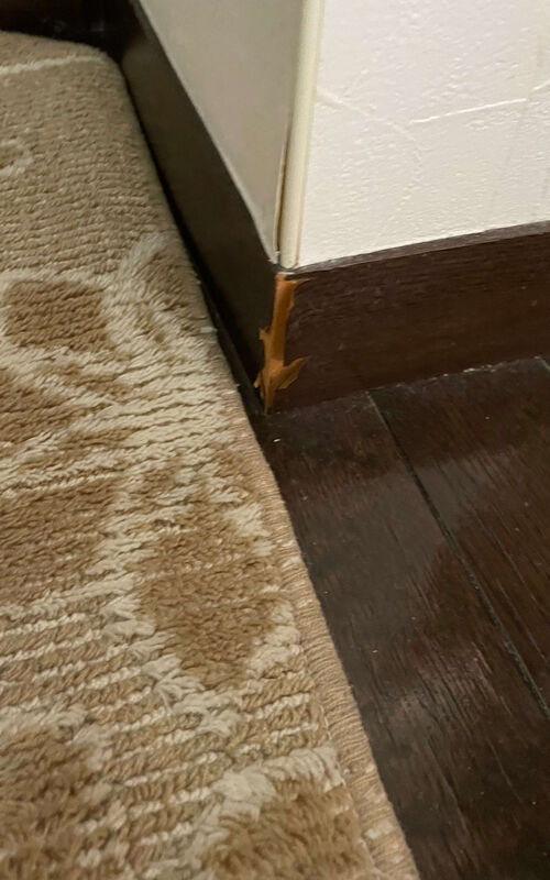 ひび割れた柱