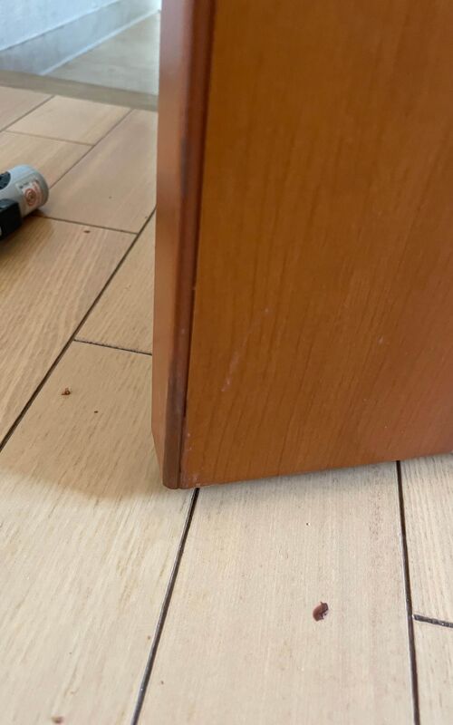 きれいになったドア